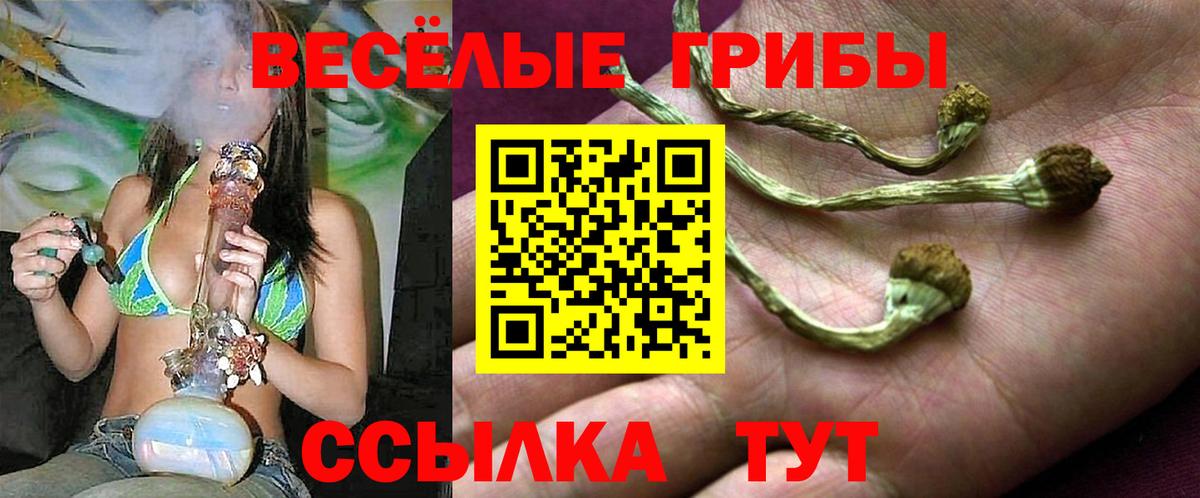 Псилоцибиновые грибы ЛСД Сальск