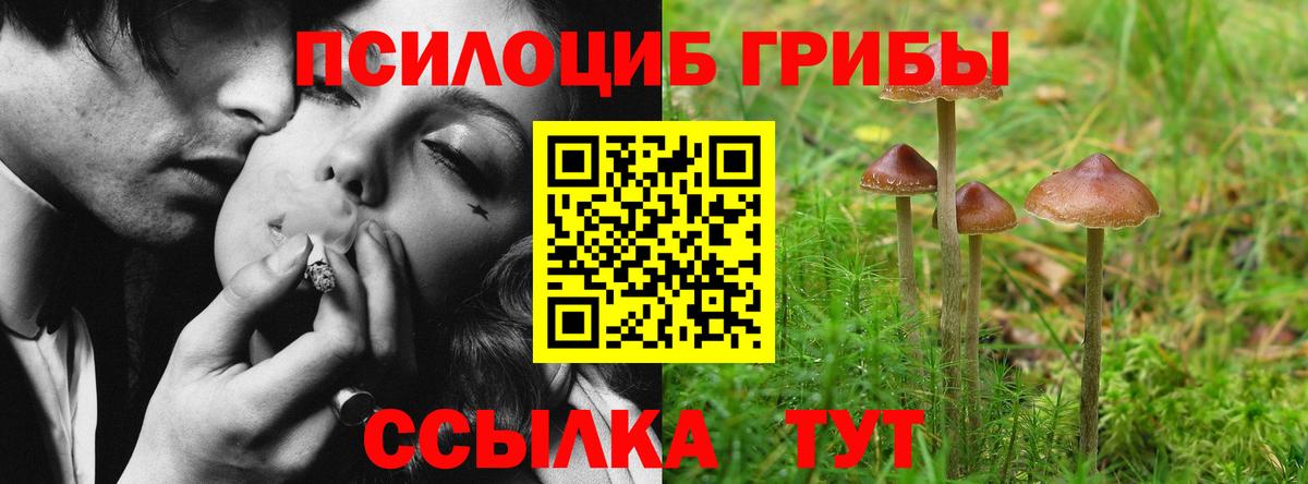 Сальск  Галлюциногенные грибы ЛСД  купить закладку  Вход с VPN 